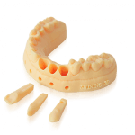 Dental-Model